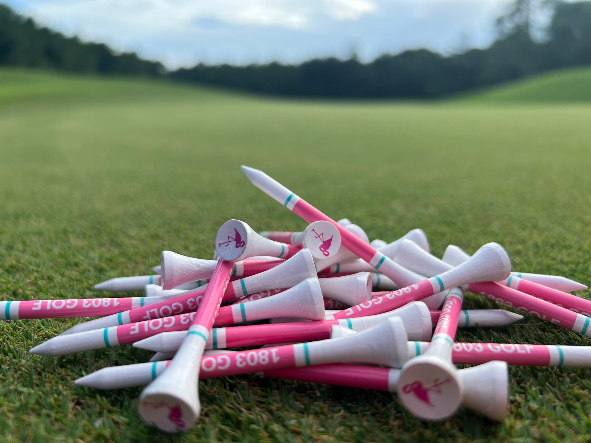 Florida Themed Golf Tees