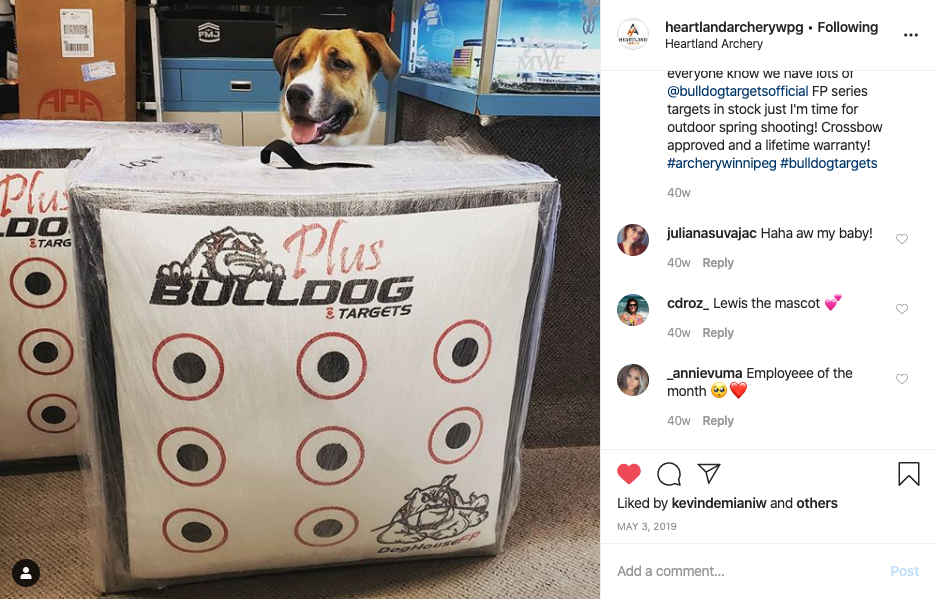 Bulldog Targets Archery Target Bulldog Doghouse FP Archery Target
