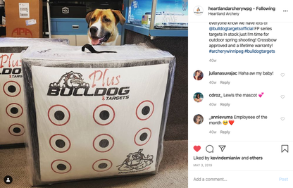 Bulldog Targets Archery Target Bulldog Doghouse FP Archery Target