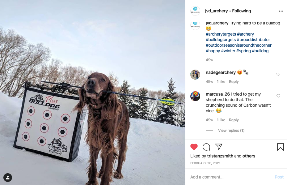 Bulldog Targets Archery Target Bulldog Doghouse FP Archery Target