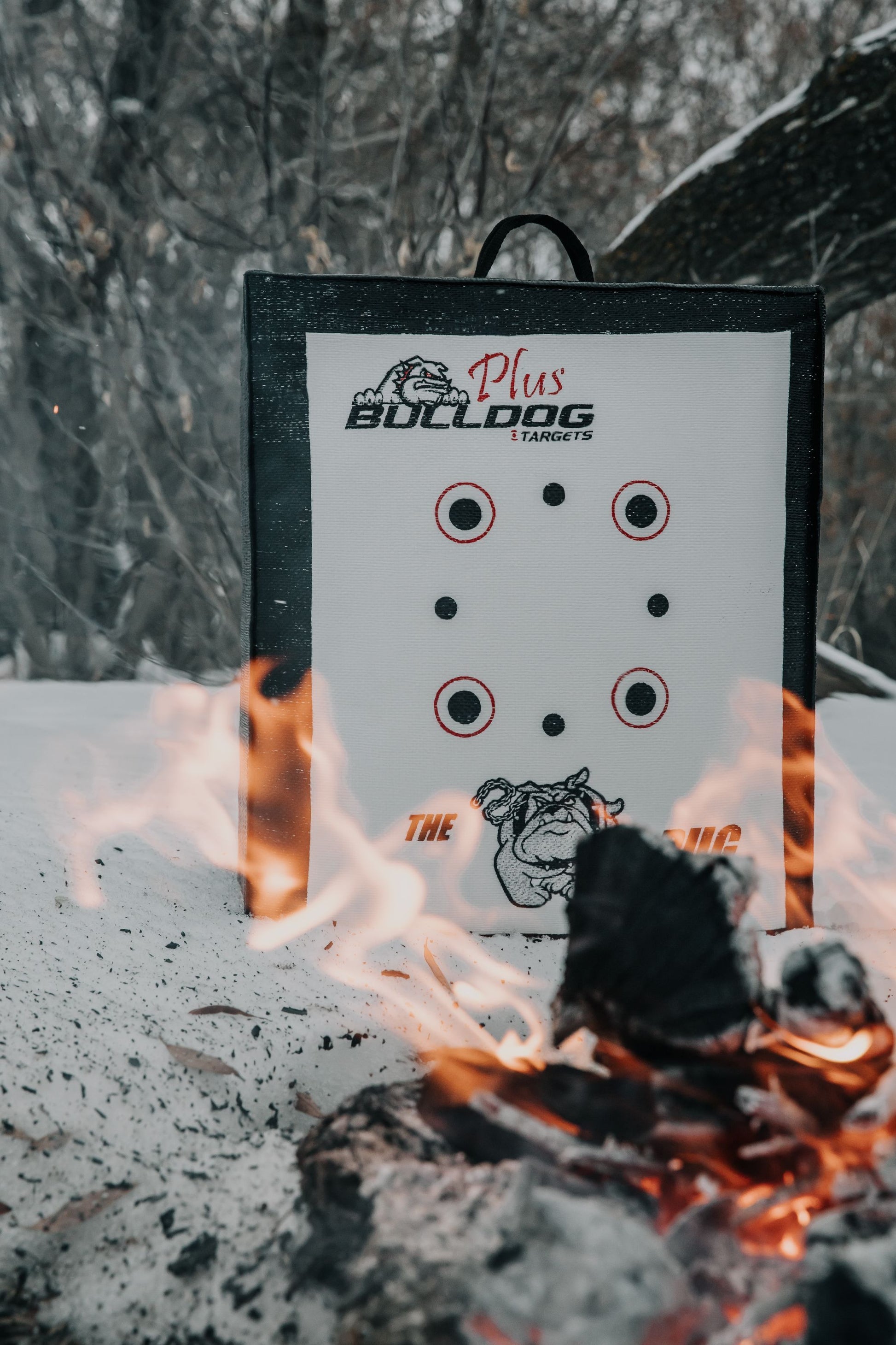 Bulldog Targets Archery Target Bulldog Doghouse Pug Archery Target