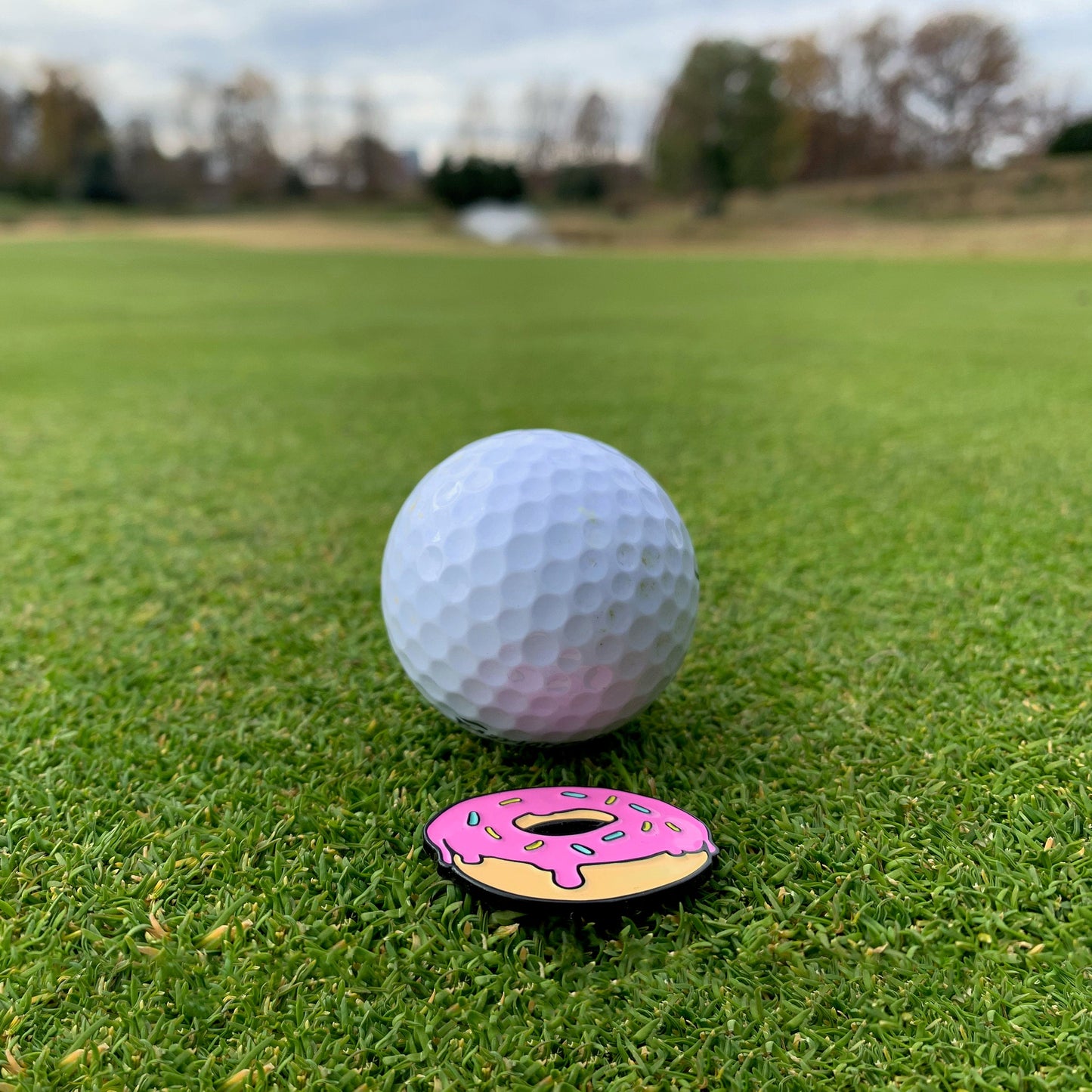 Take Me To Your Feeder Cat Golf Ball Marker by Kolorspun